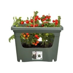 Elho Plantenbak Green Basics Stack & Grow Large Groen -Velda Winkel elho plantenbak green basics stack grow large groen 800x800 620e3d4de4622 l