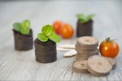 Nature Turftabletten 48st -Velda Winkel nature turftabletten 48st 800x532 6214a01453d91 l