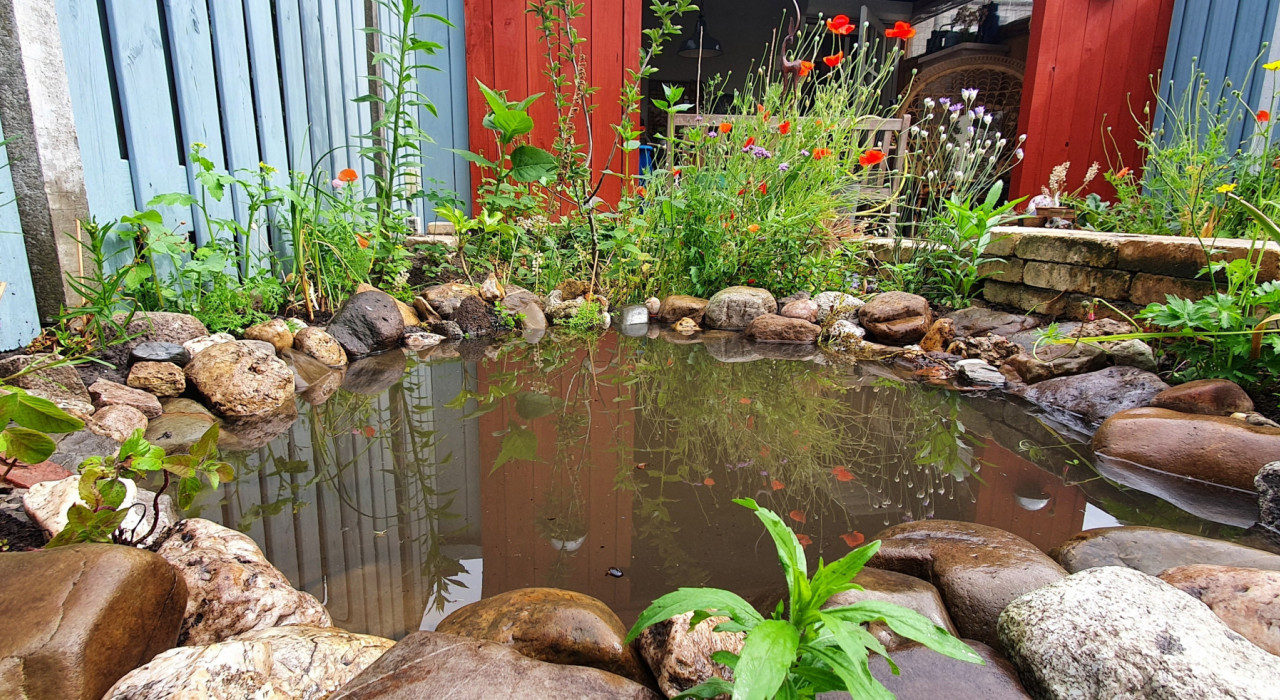 Velda Winkel -Velda Winkel vijver header 1a